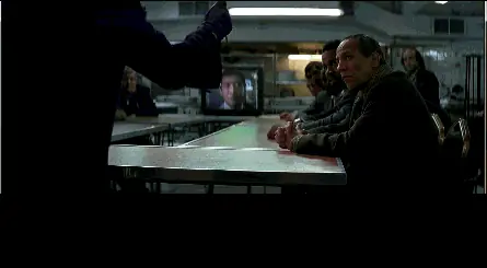 15 Hechos curiosos que te sorprenderán