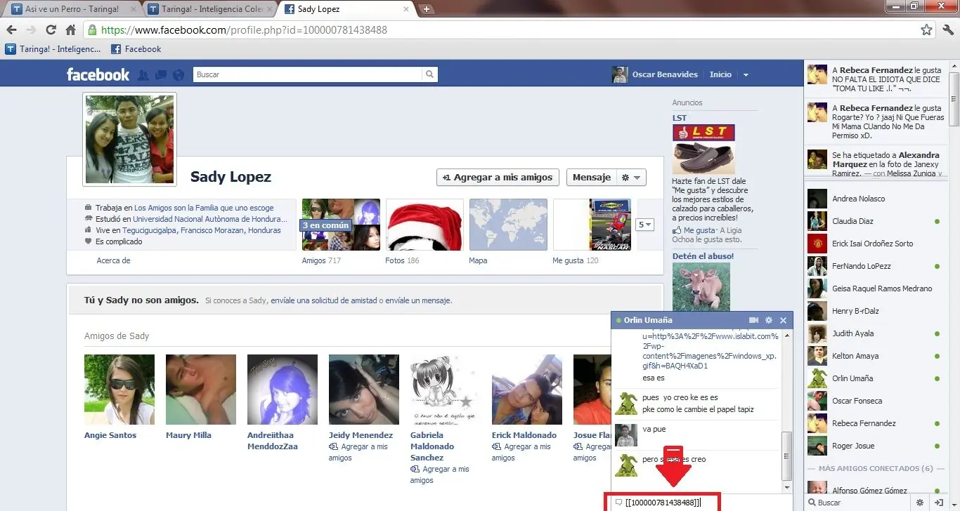 perfil