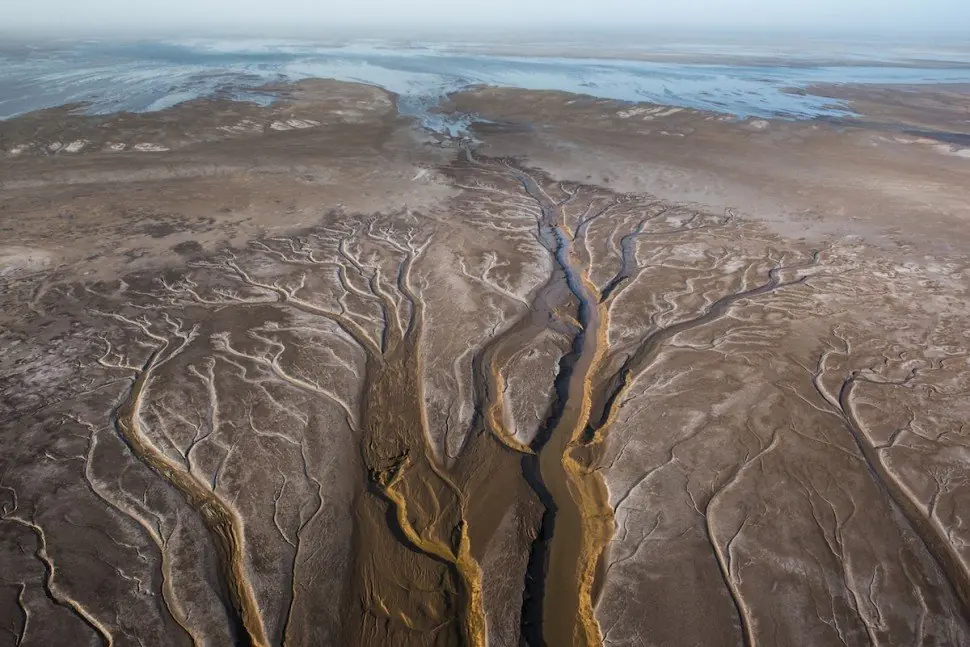 26 cosas que hacen del 2014 un muy buen año para la ciencia