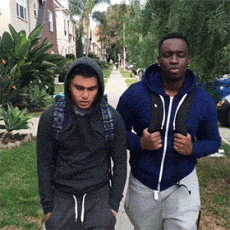 gifs de humor
