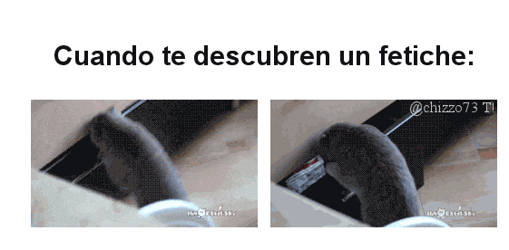 Gifs Sueltas de Mi T! Semana 3