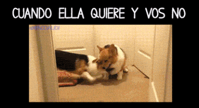 Gifs Sueltas de Mi T! Semana 3