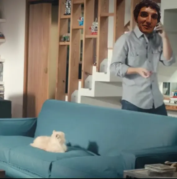 Beto el gato, mi único heroe en este desastre
