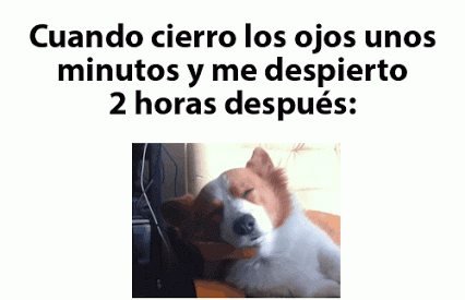 gifs de humor