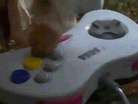 Gifs Sueltas de Mi T! Semana 3
