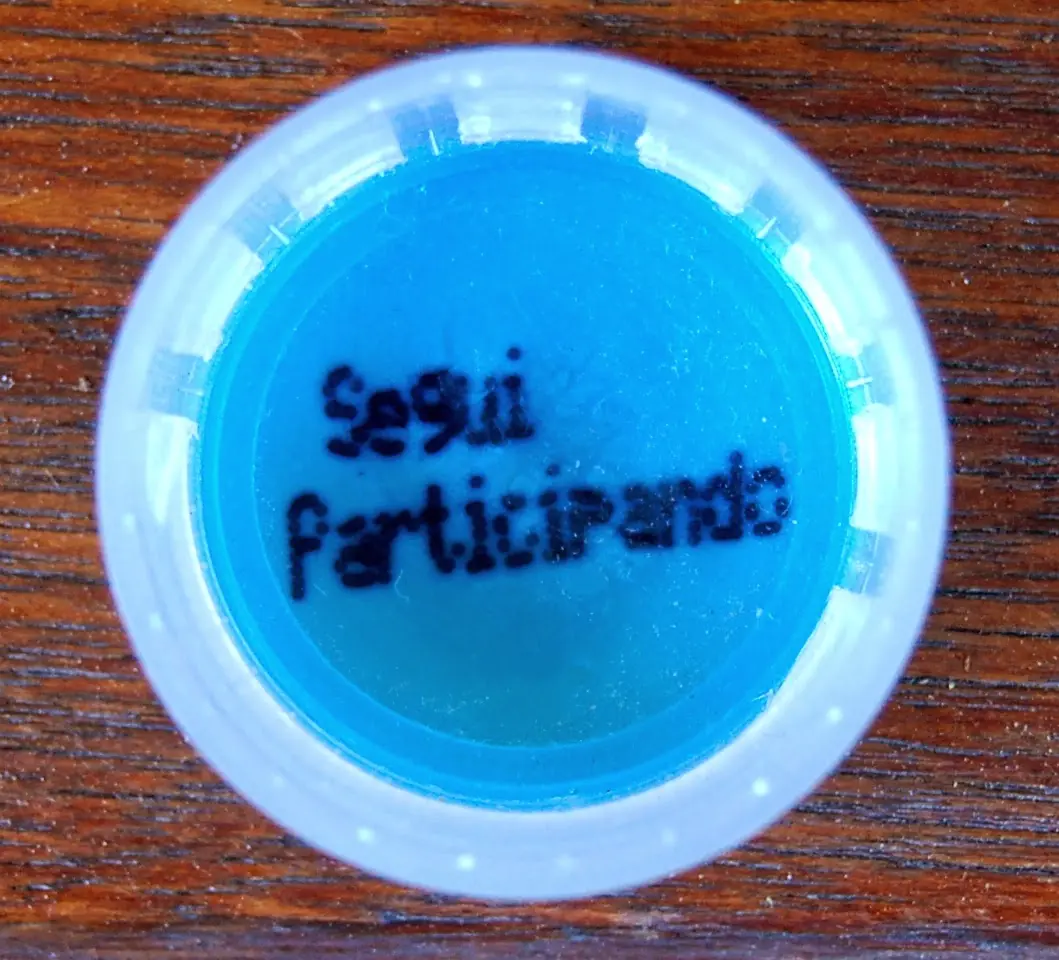 10 mitos acerca de encarar en un boliche