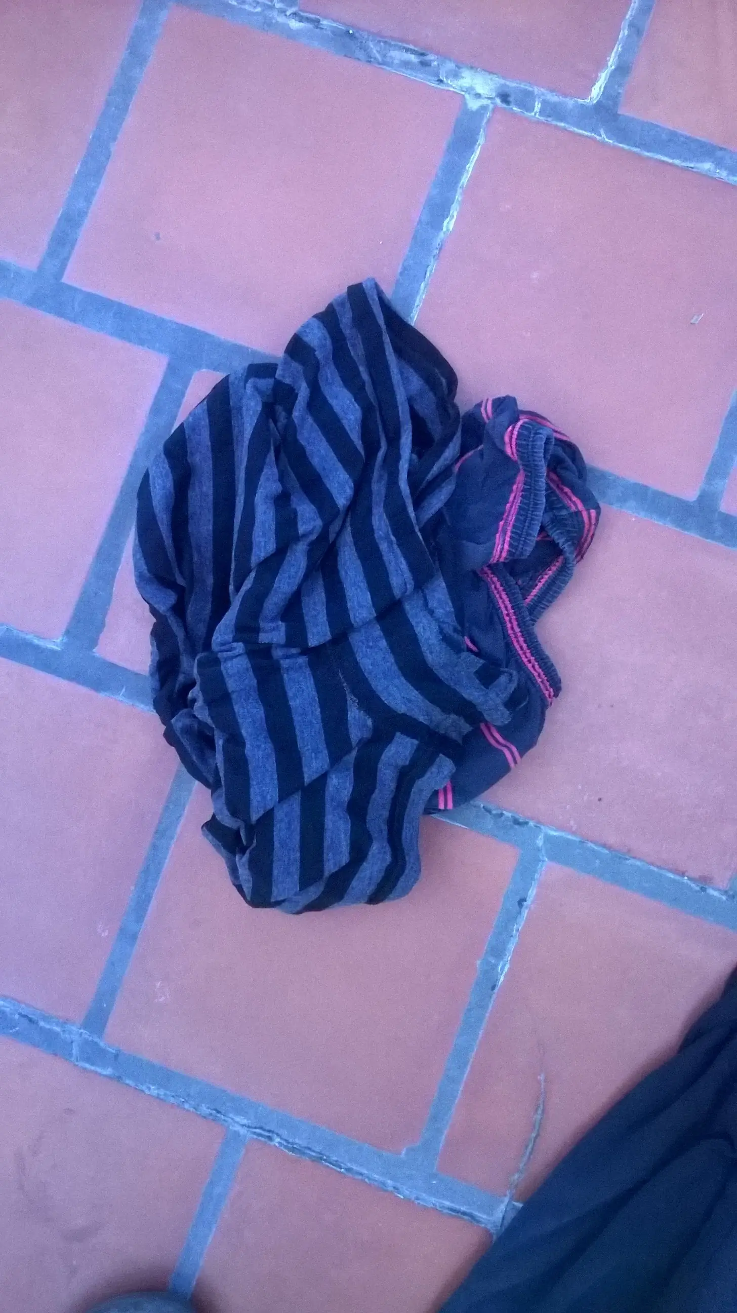 ropa
