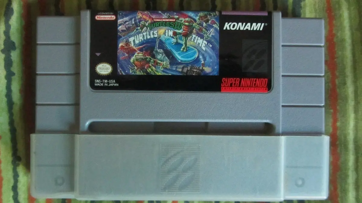 tortugas en el tiempo