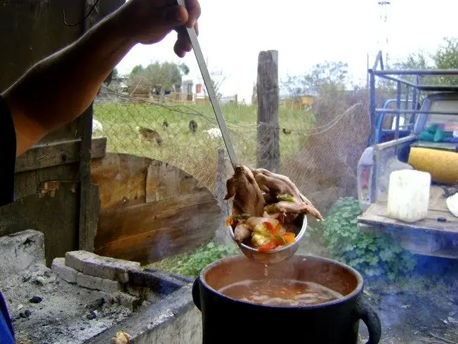 caldo de ratas