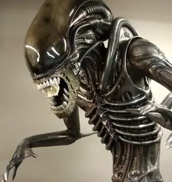 tortugas en el tiempo