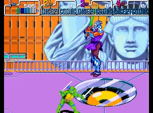 tortugas en el tiempo