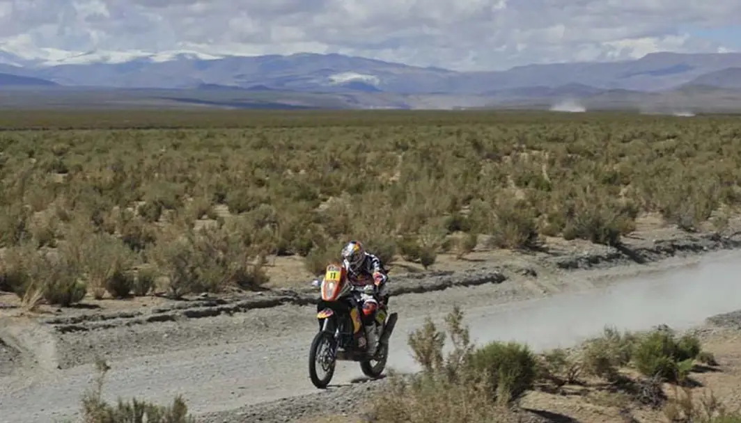 calama