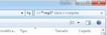Búsqueda Avanzada Windows filtros