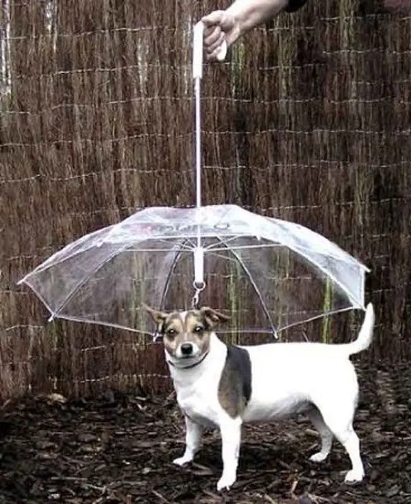 inventos