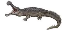 reptil