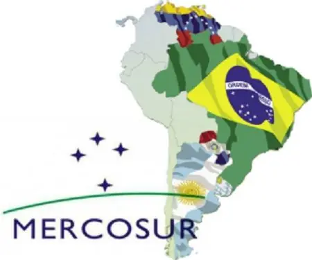 colomba