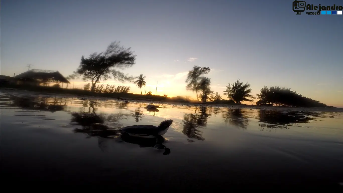 hero 3