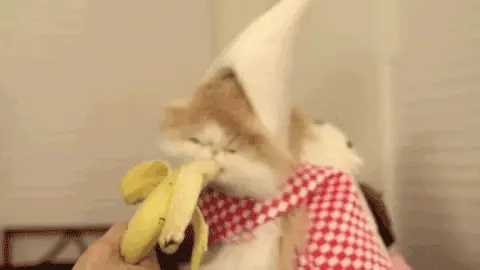 fruta