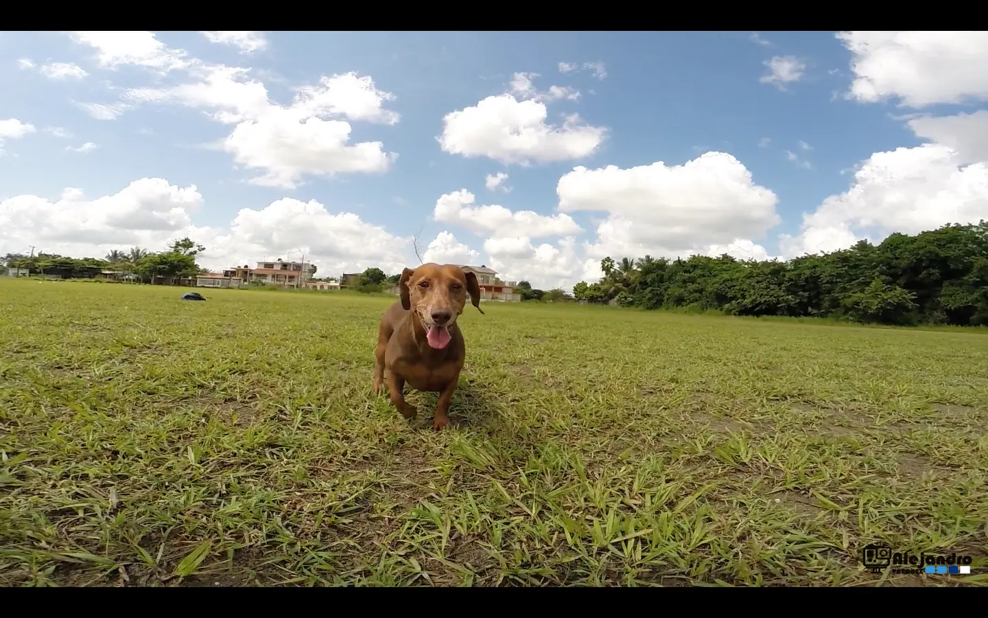 hero 3