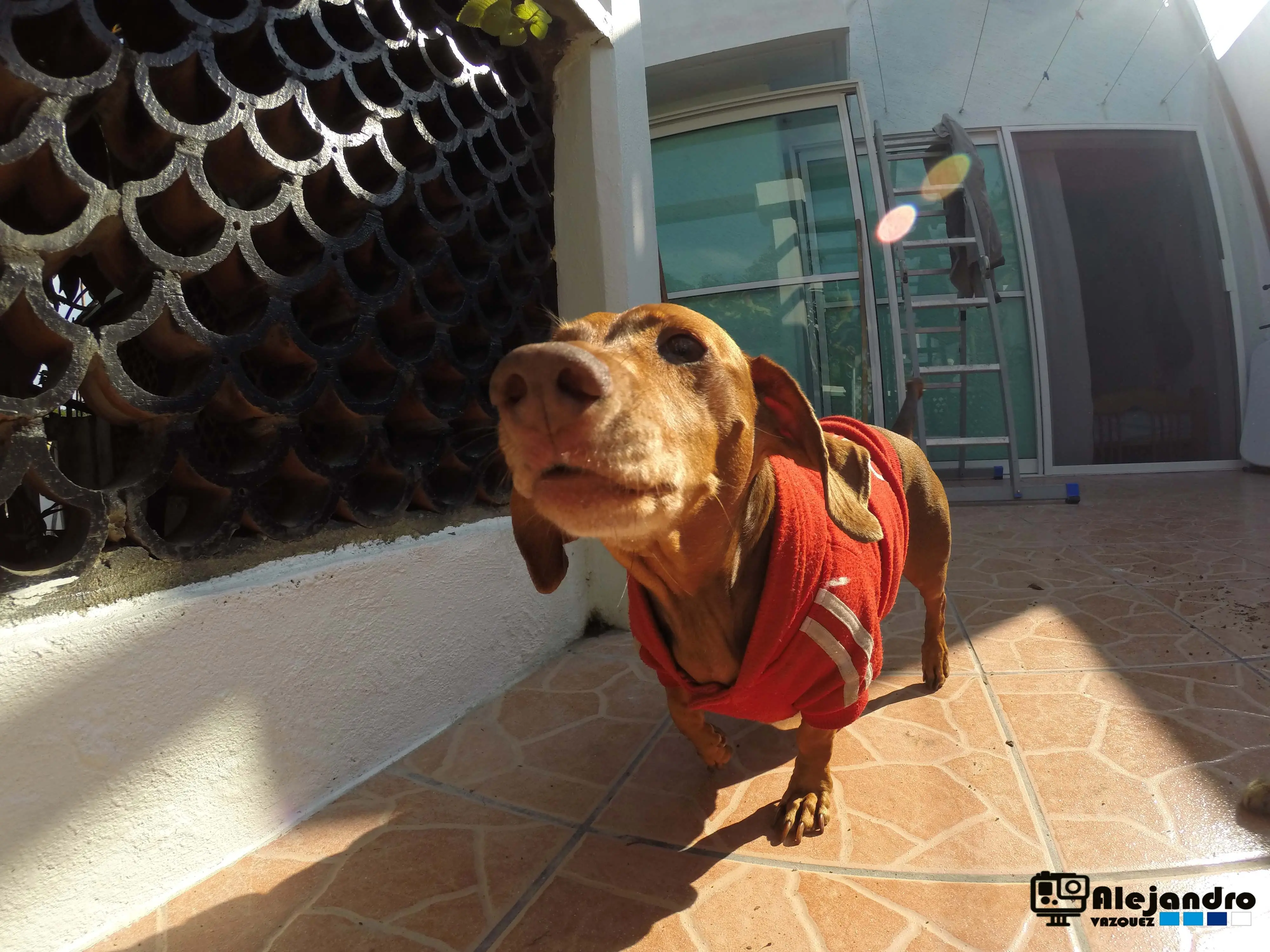 gopro