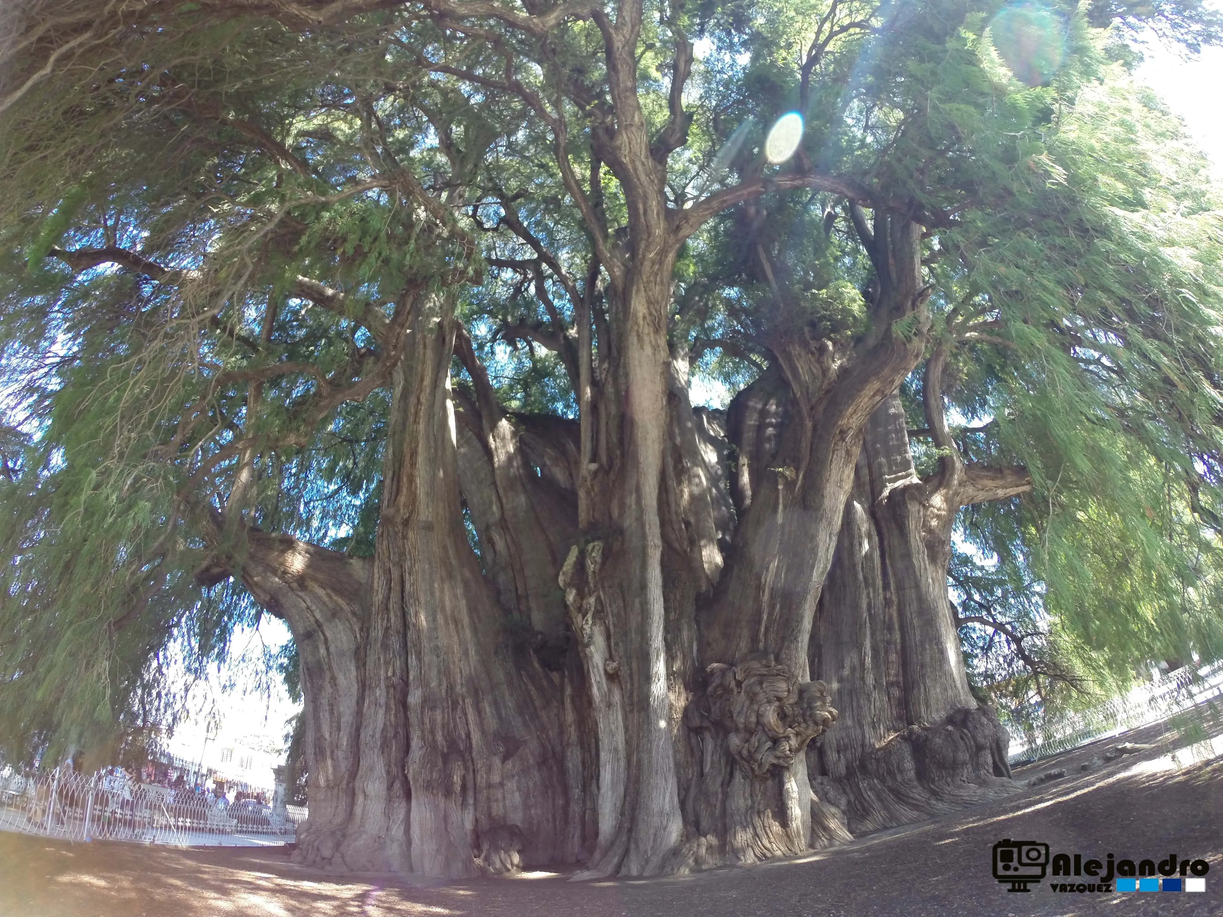 gopro