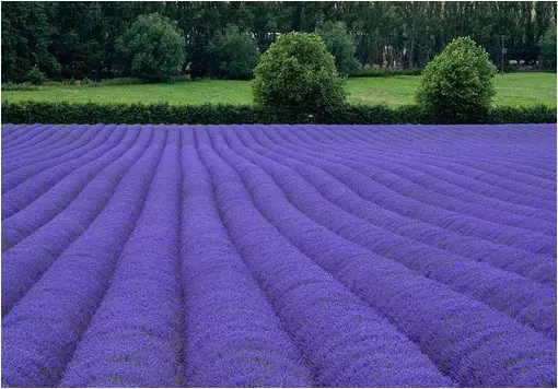 22 lugares impresionantes del mundo