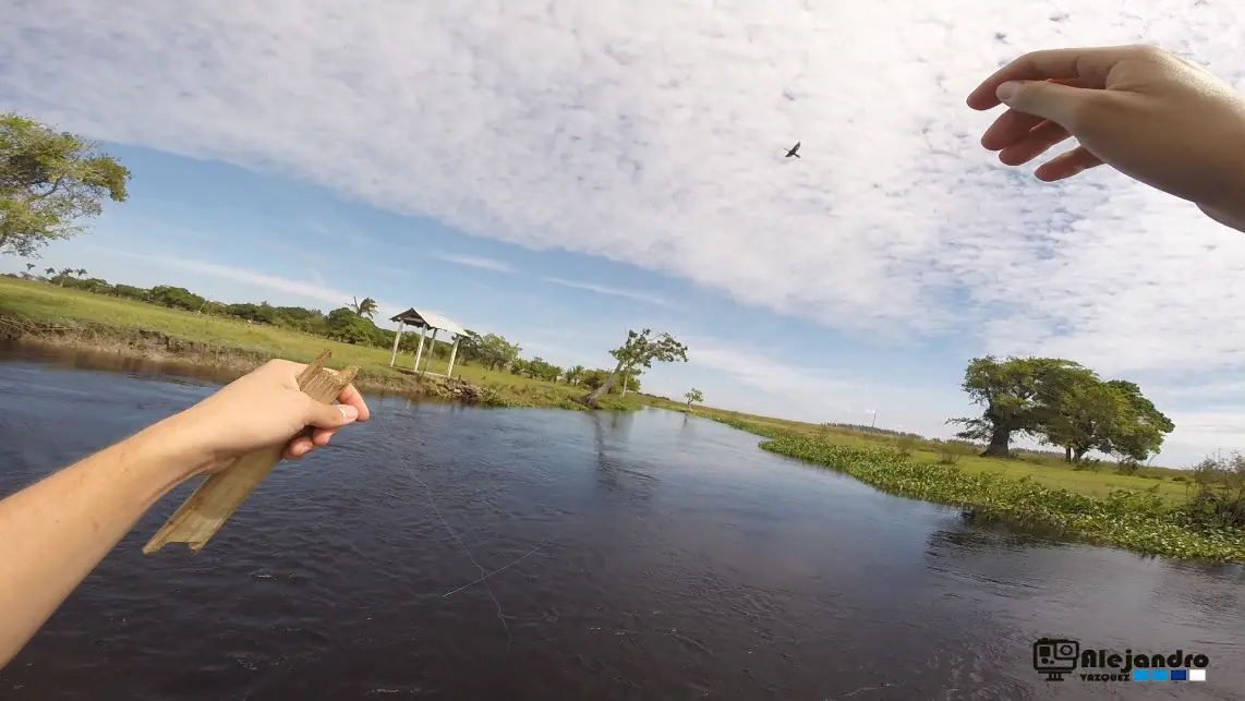 gopro