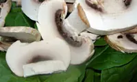 ensaladas