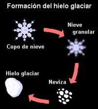 forma