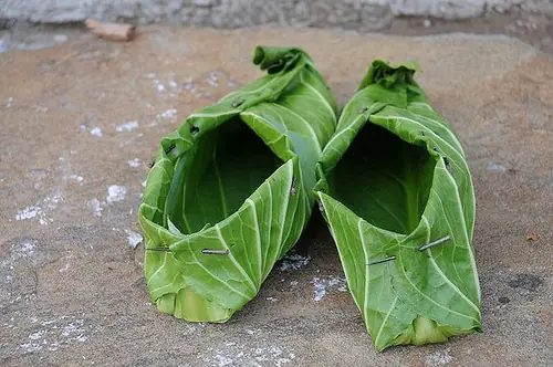 zapatos