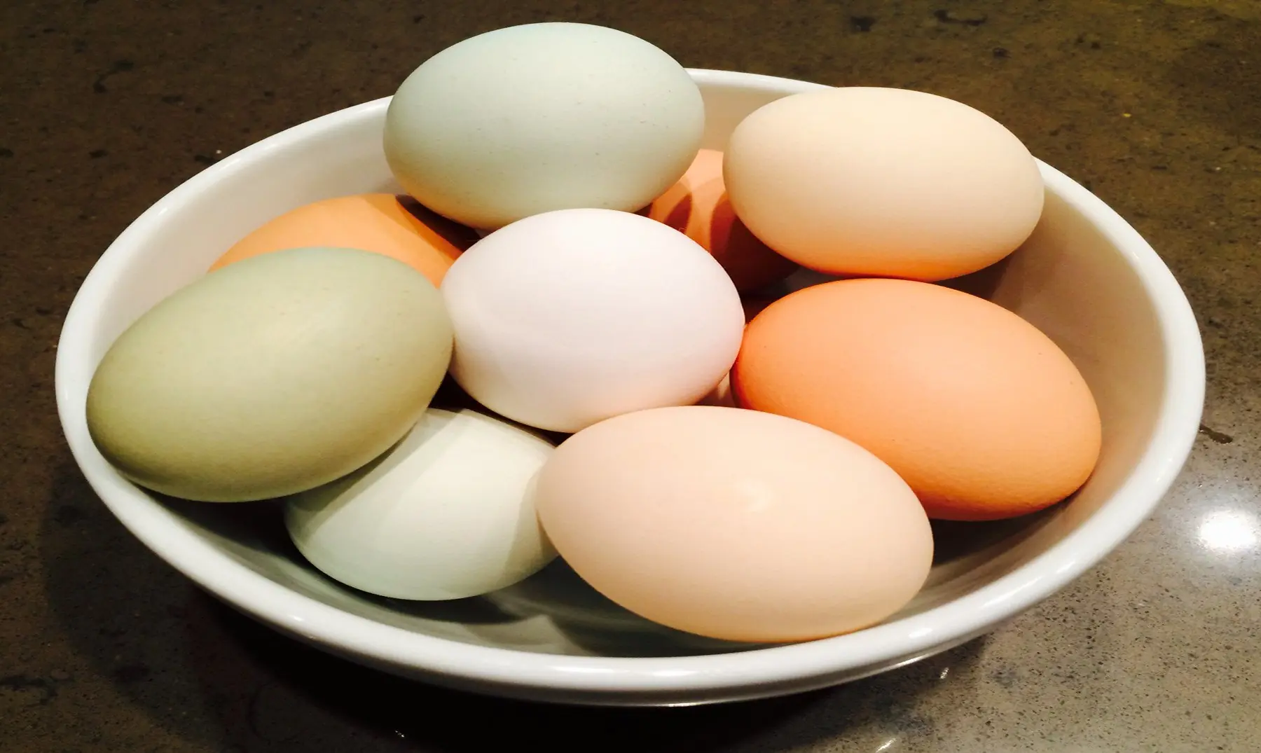 Huevos blancos, huevos marrones,¿cuál es la diferencia?