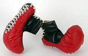 mi zapato