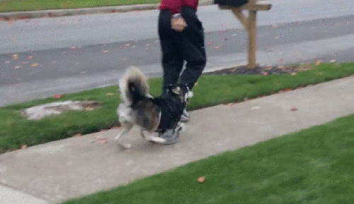 caminar