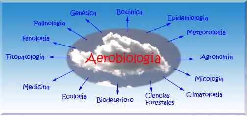 ciencia