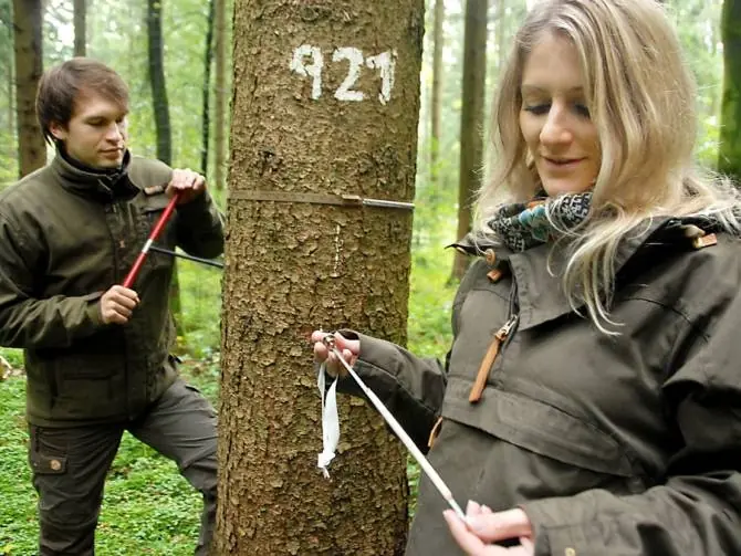arboles