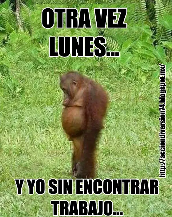 buen humor