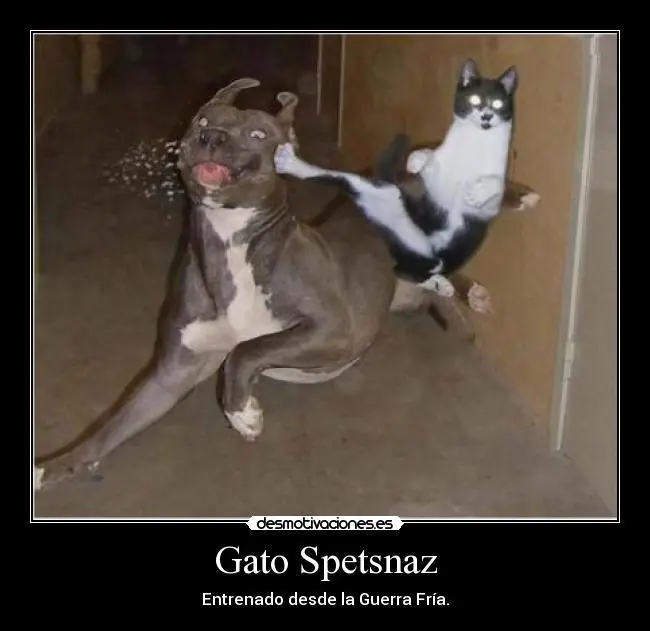 spetsnaz