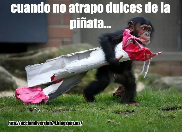 buen humor