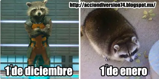 frases e imágenes con buen humor