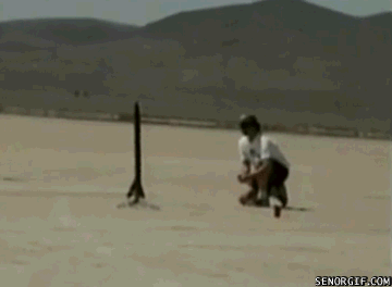 imagenes de animales