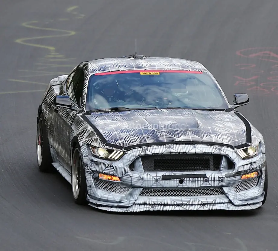 shelby