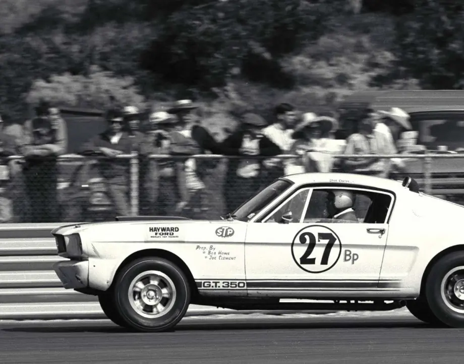 shelby