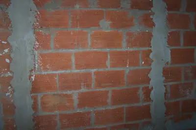 Inteligencia Colectiva - Como revocar una pared