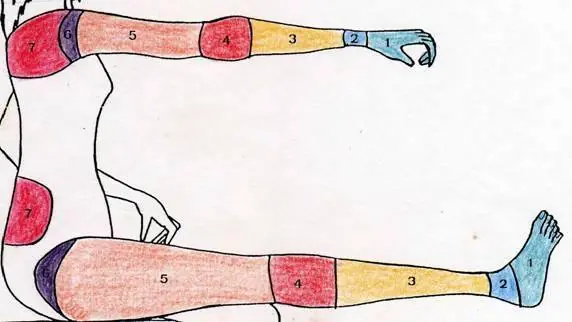 mano