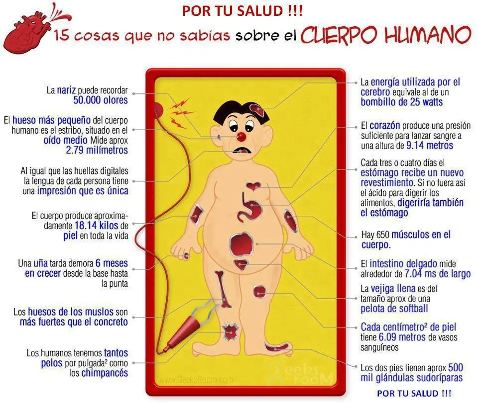 ejercicios