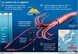 gigantes
