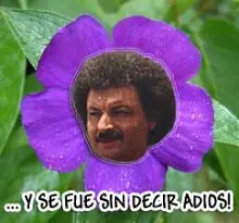 Pocho la pantera