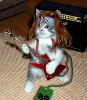Soy un lince, hice mi banda de rock y te lo cuento