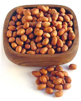 Bob Esponja - Soy un Cacahuate