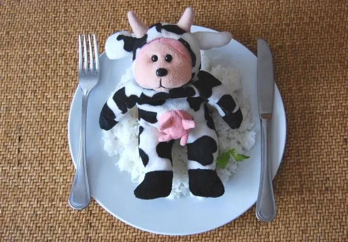 por que ser vegetariano